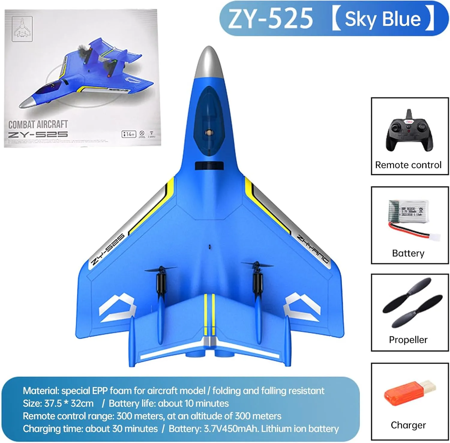 Amphibious Aircraft RC Plane Blue 2.4GHz 2 Channel Remote Control Plane Jet Fighter Airplane with GYRO for Kids and Beginners