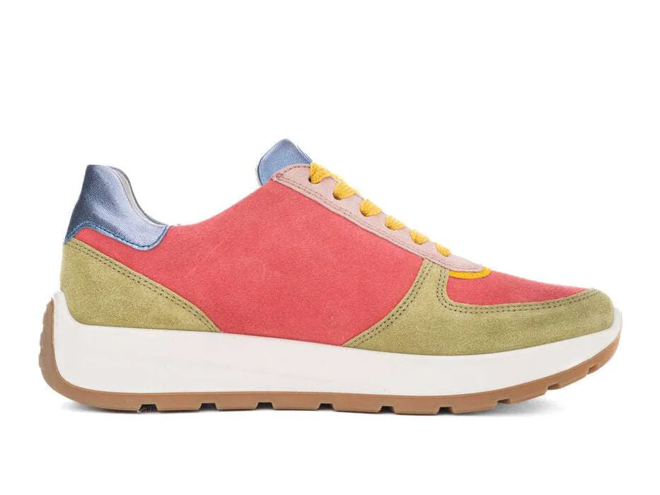 Ara Multi-colour Wide Fit Trainer |122511215