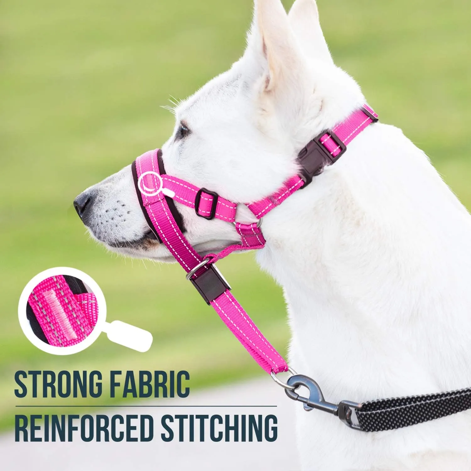 GoodBoy Dog Head Halter with Safety Strap - Stops Heavy Pulling On The Leash - Padded Headcollar for Small Medium and Large Dog Sizes - Head Collar Training Guide Included (Size 3, Pink Nylon)