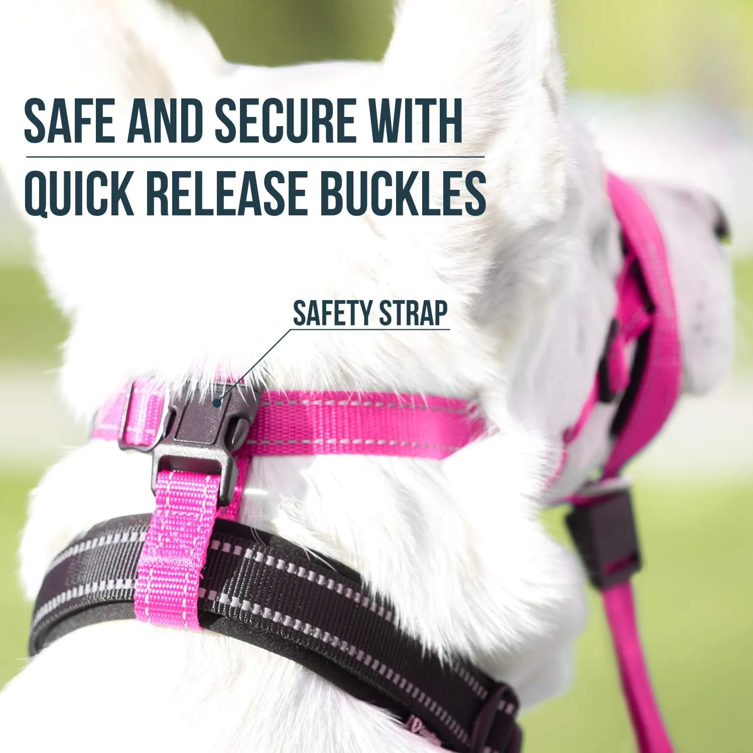GoodBoy Dog Head Halter with Safety Strap - Stops Heavy Pulling On The Leash - Padded Headcollar for Small Medium and Large Dog Sizes - Head Collar Training Guide Included (Size 3, Pink Nylon)