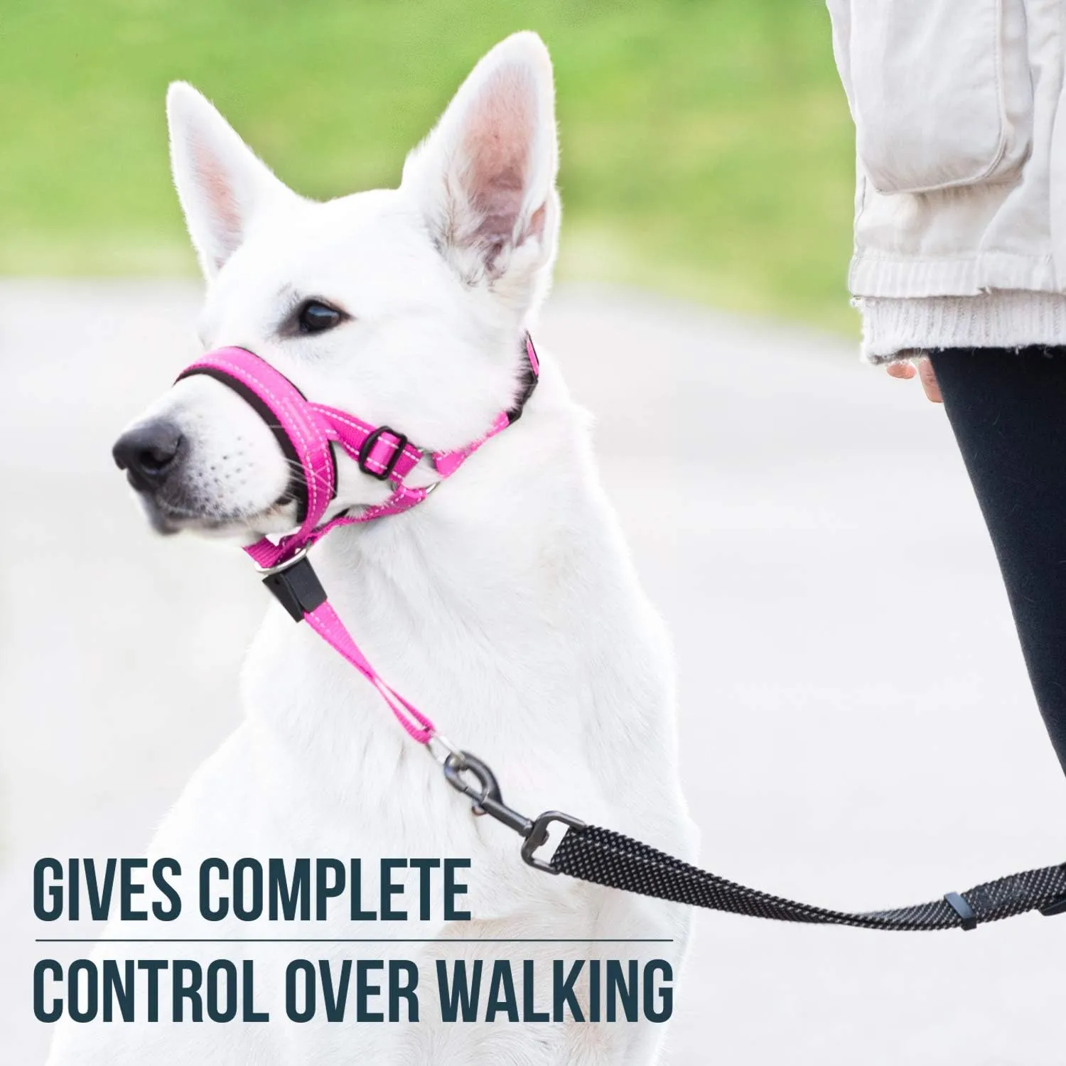 GoodBoy Dog Head Halter with Safety Strap - Stops Heavy Pulling On The Leash - Padded Headcollar for Small Medium and Large Dog Sizes - Head Collar Training Guide Included (Size 3, Pink Nylon)