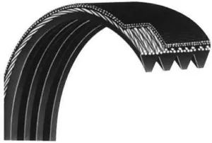 H.F Exchange Motor Drive Belt 19" L 8 Ribs Micro v Poly V Belt 255589 Transmission Belt - High Strength Rubber Good Tension Replacement P/N 248521 for Treadmill Work with Epic FreeMotion A2250 1500