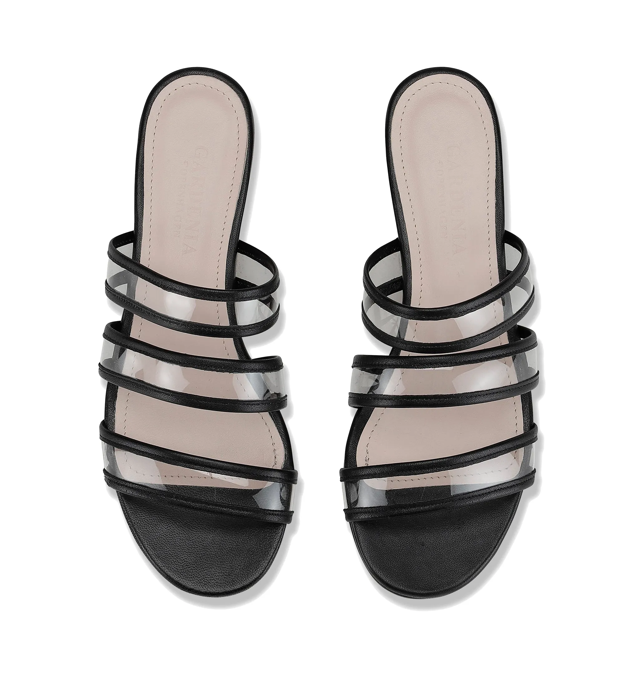 Lavender - Black