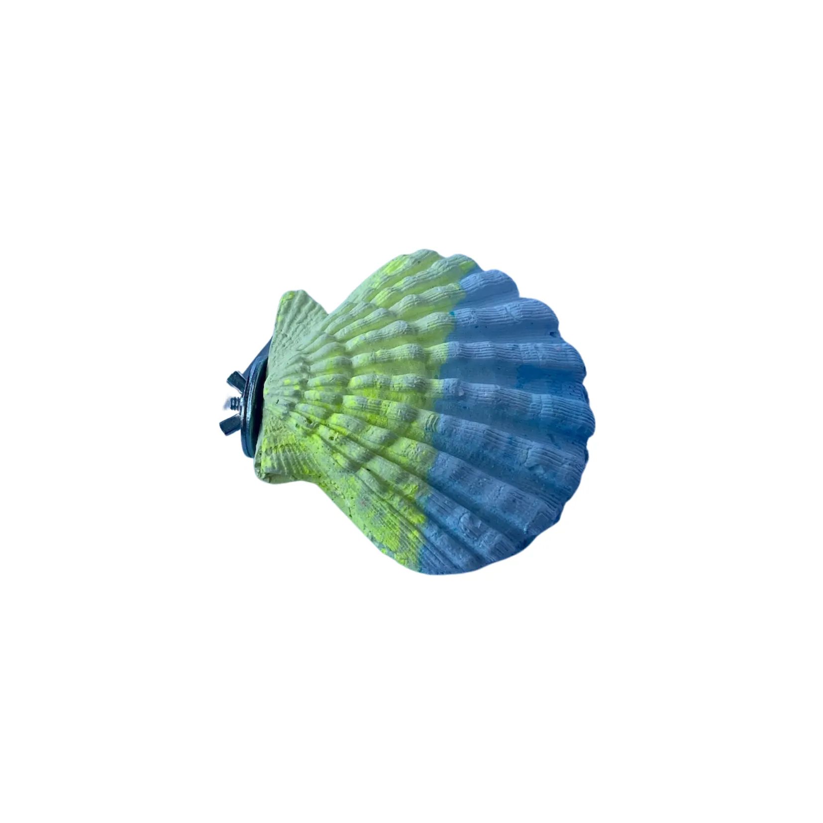 Polly's Comfy Clams