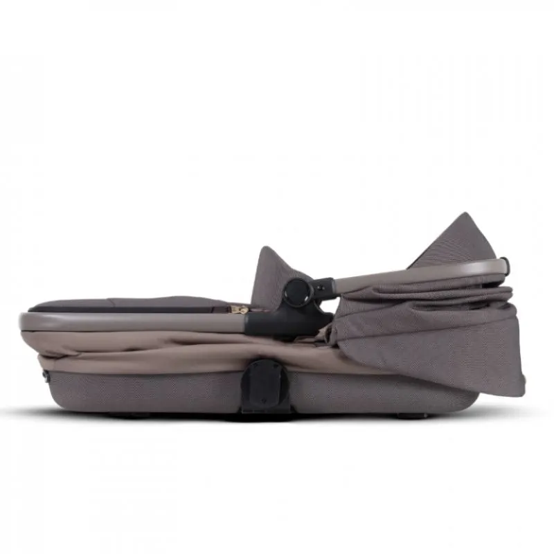 Reef Bassinet