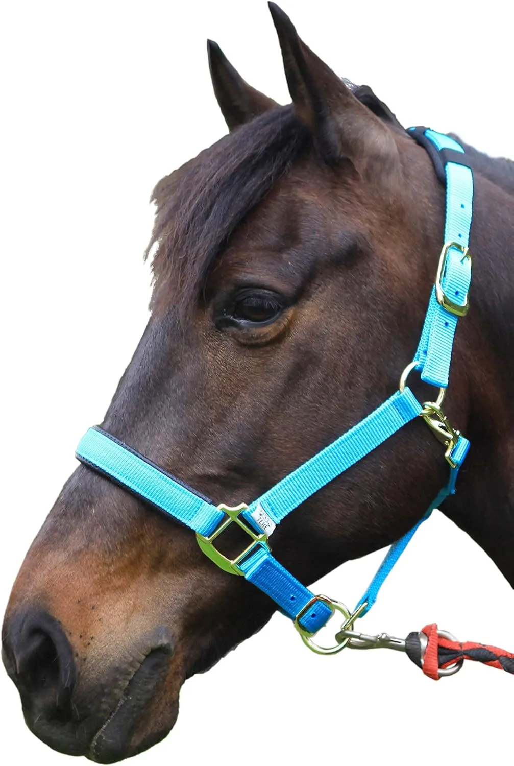 T TEKE Adjustable Horse Halters by Heavy Duty Soft Nylon, Padded with Anti-rubbing Waffle Neoprene on Both Crown & Nose