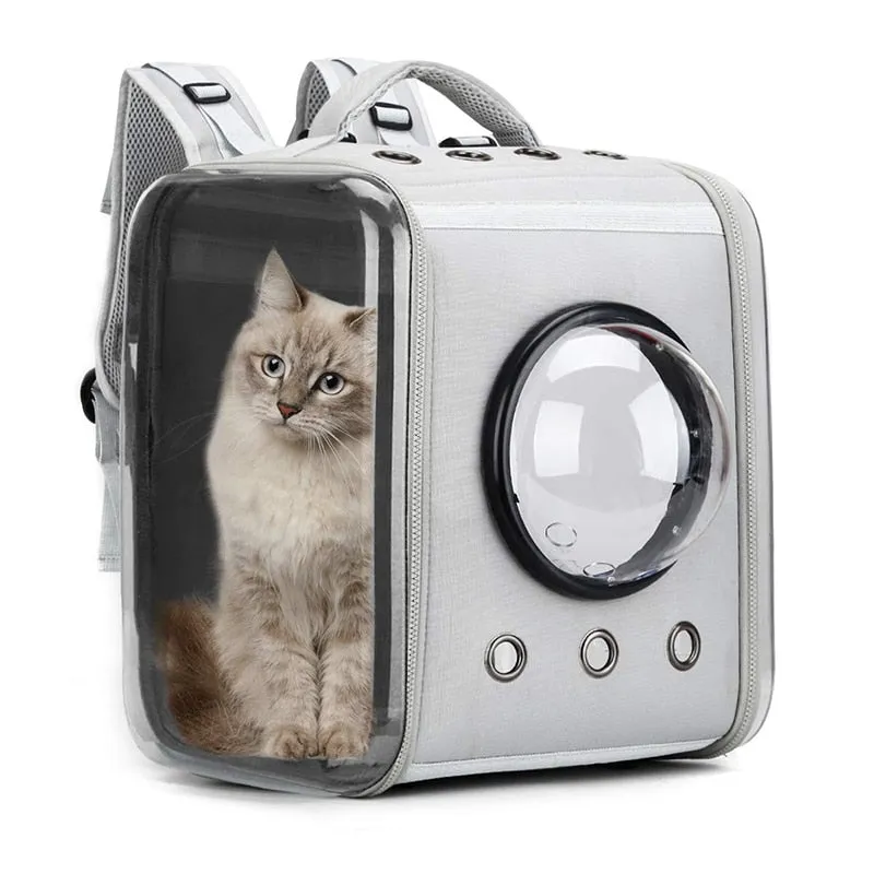 Ventilated Transparent Pet Backpack