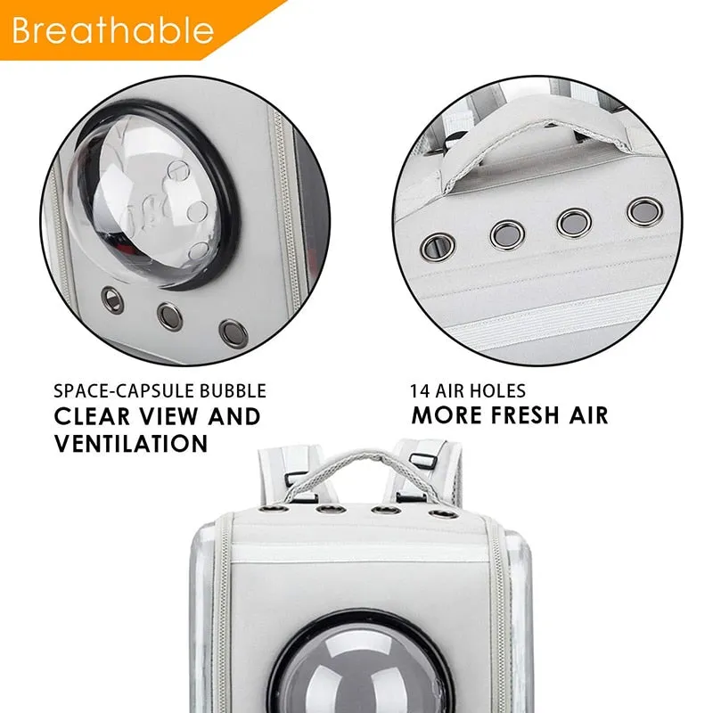 Ventilated Transparent Pet Backpack